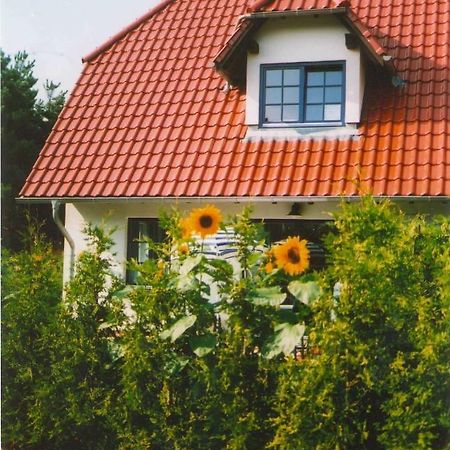 Apartament Lindenstr_32B Zingst Zewnętrze zdjęcie